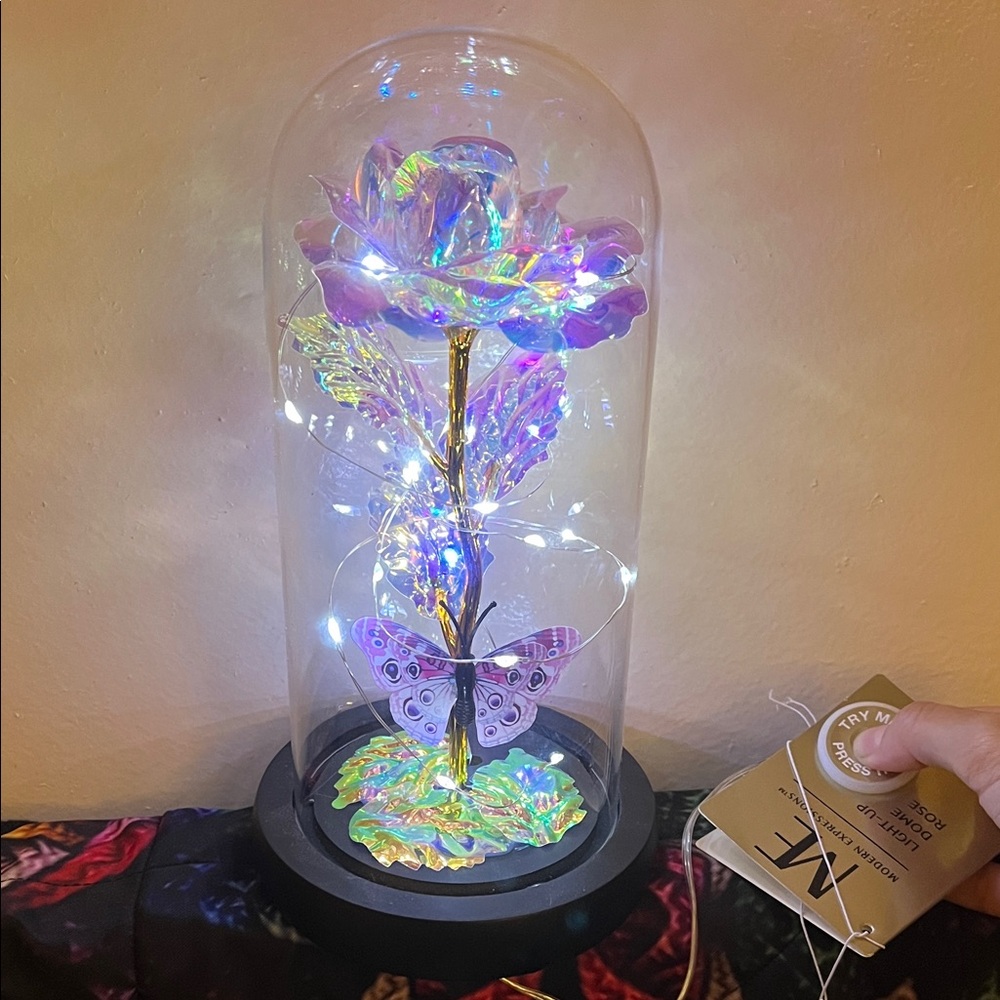 Iridescent Rose Glass Dome with LED Lights